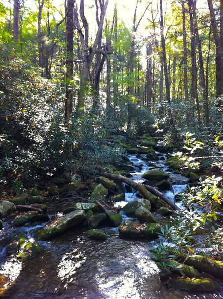 Cosby Creek 1.jpg